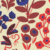 blue cherry